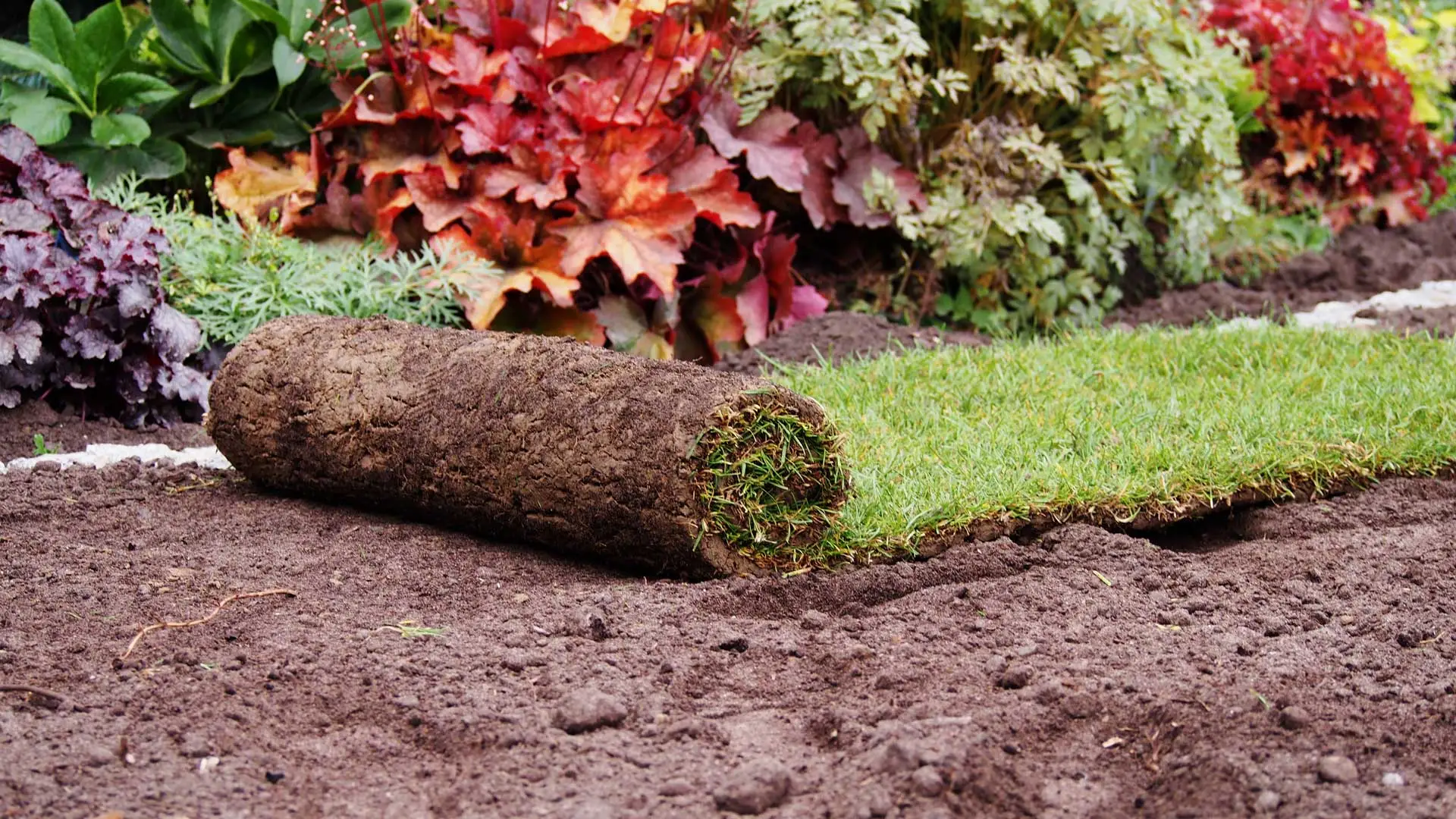 A new roll of sod being laid by our team at a home in Orlando.
