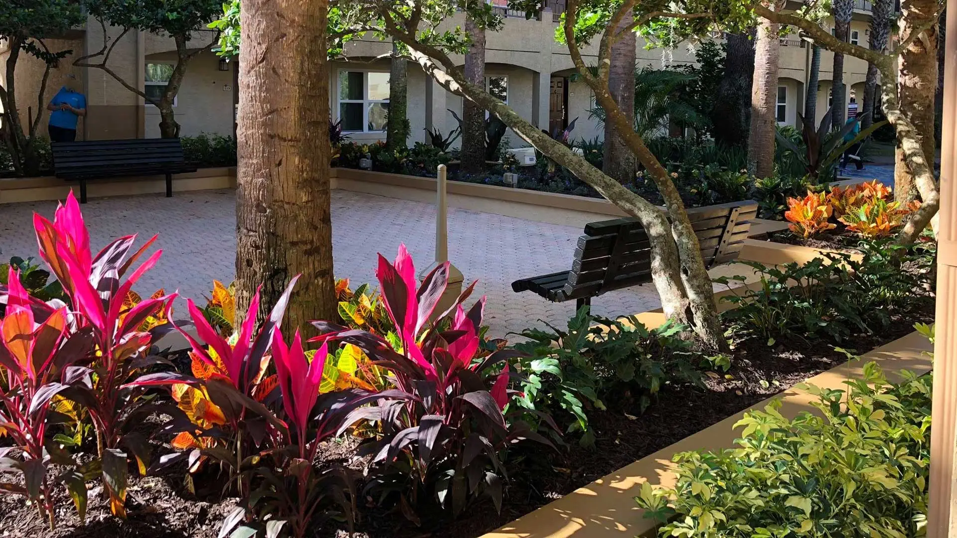 Apartment complex landscaping in Orlando, FL.