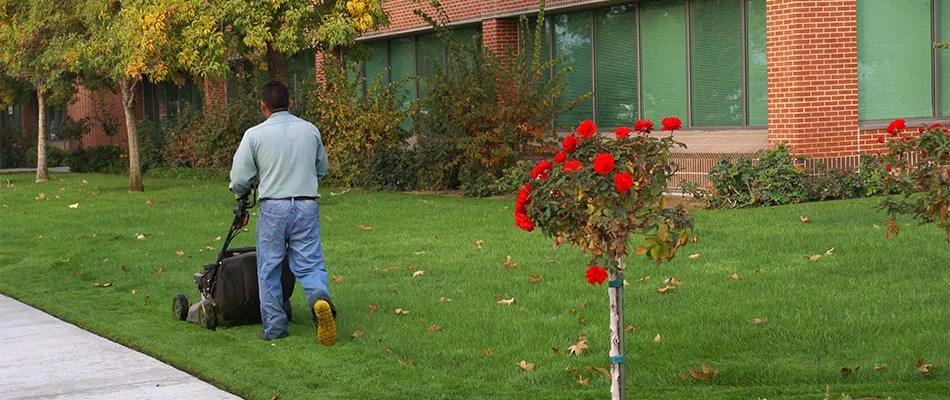 Professional landscaping services like the one pictured, give your business in The Villages, FL, peace of mind.