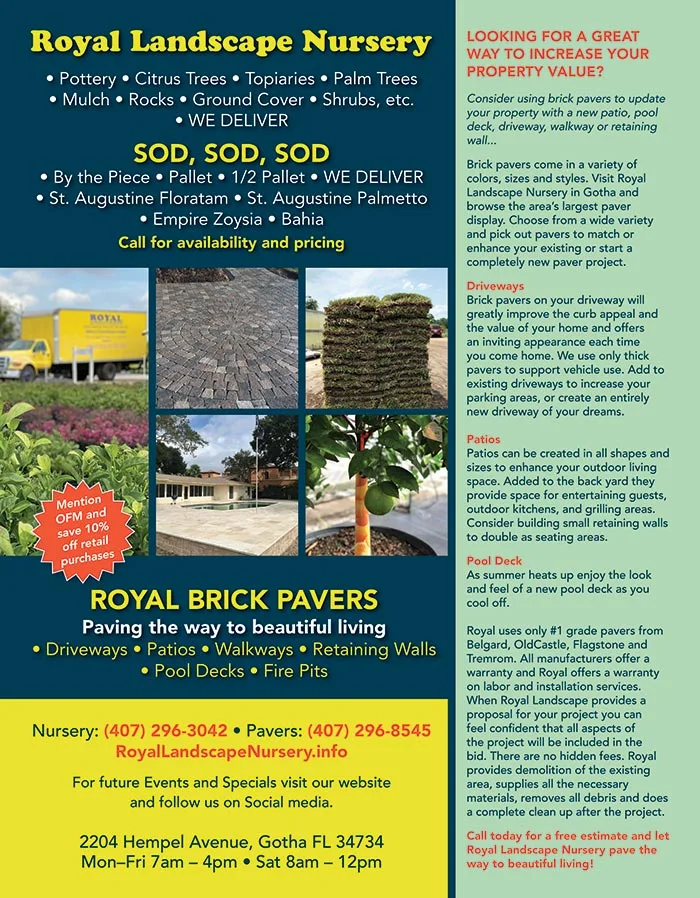 Looking for a Great Way to Increase Your Property Value?