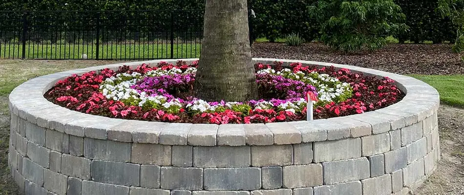 Paver stone retaining wall around landscape bed in Orlando, FL.