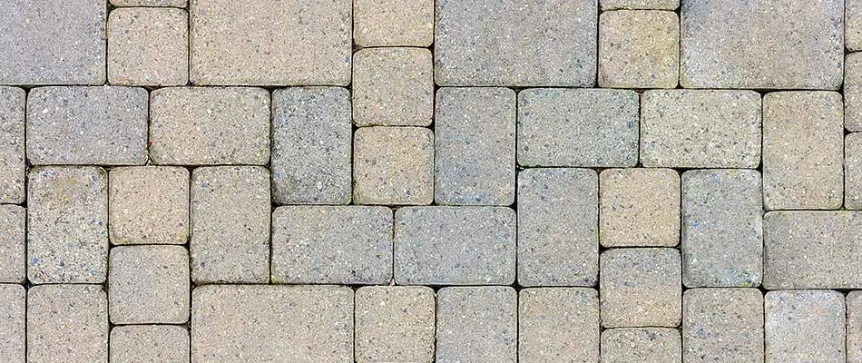 Patio pavers viewed from above in Clermont, FL.