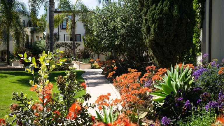 Agave: Cheers to Spirits in the Garden