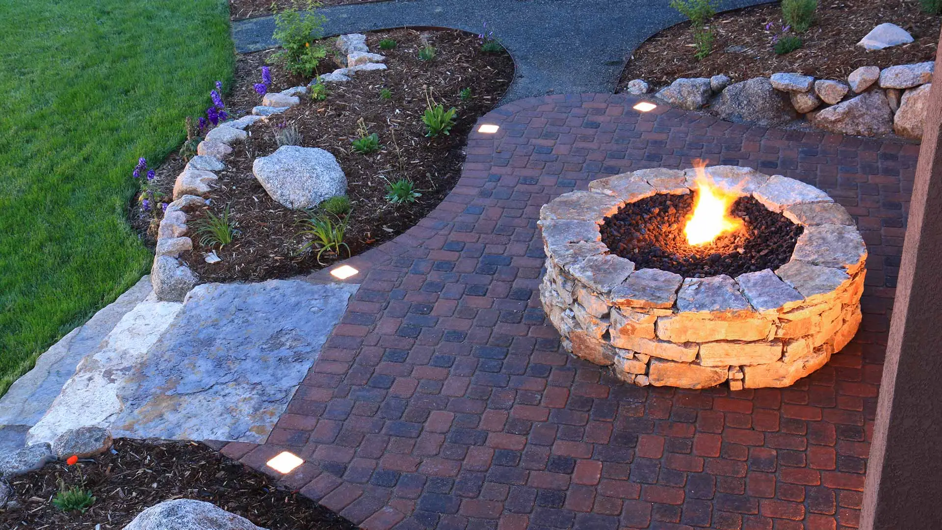 Small green plant growing in our Orlando, FL nursery.