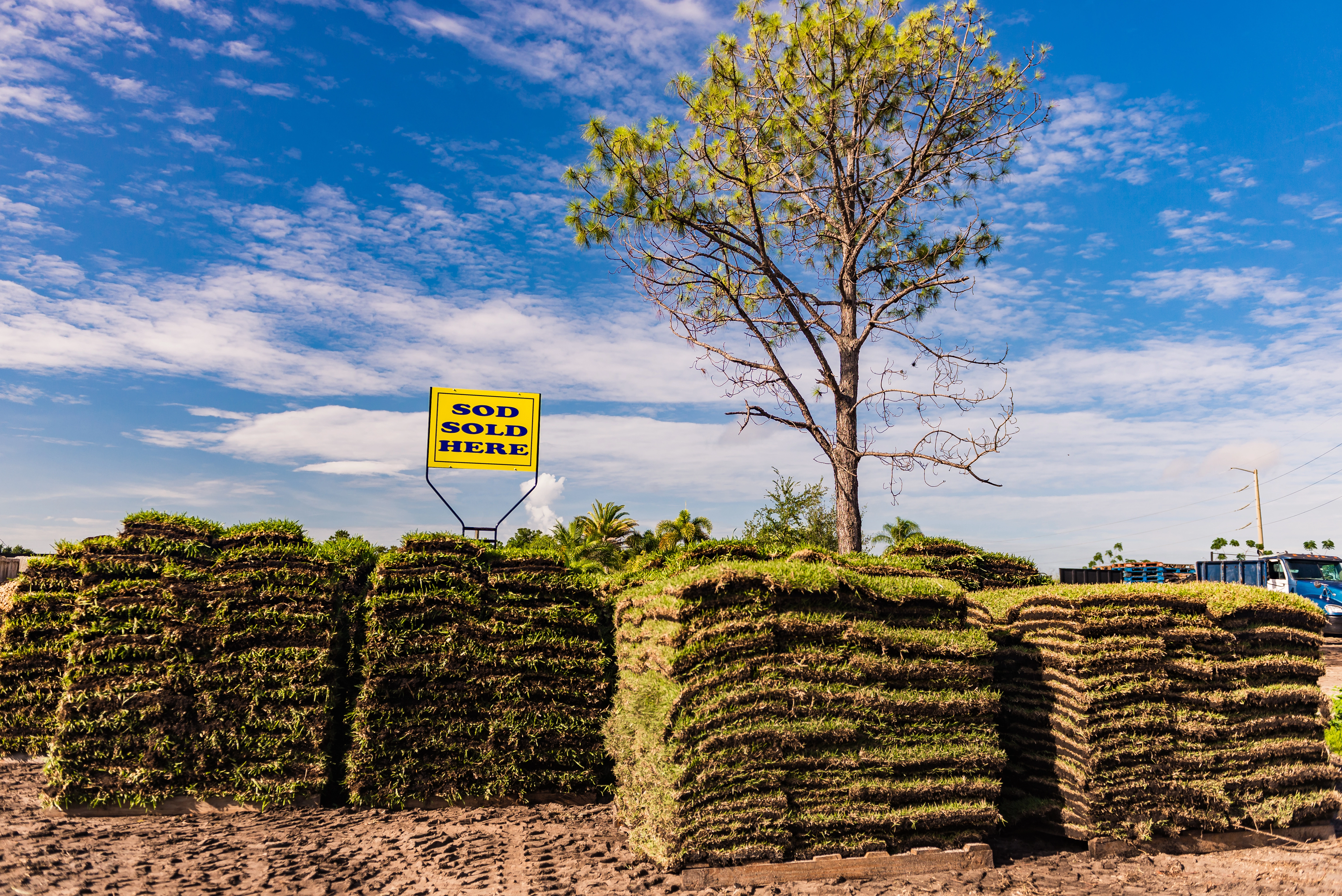A pallet of sod delivered to a residential property for one of our clients in Orlando.