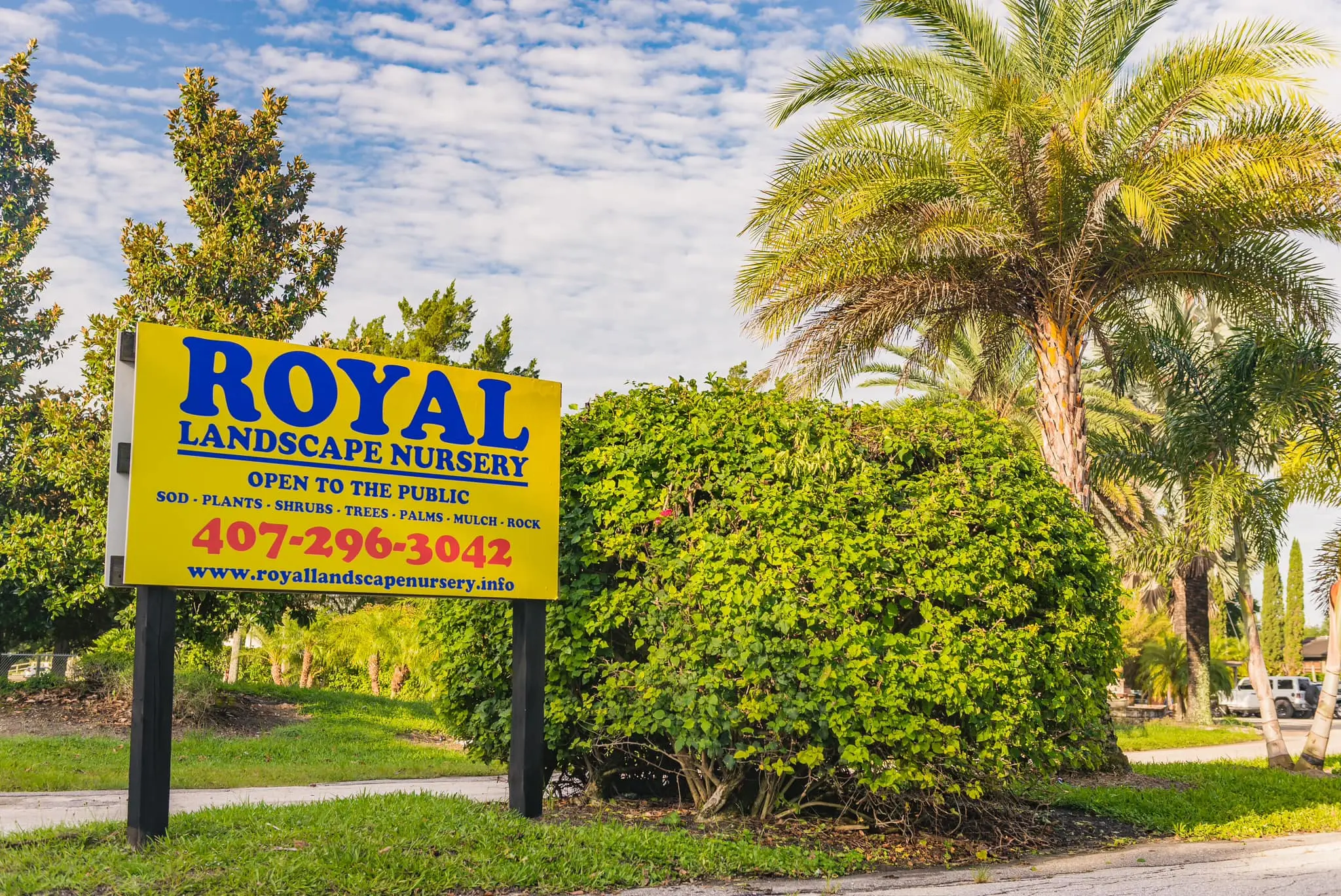 Growing Florida Native Plants