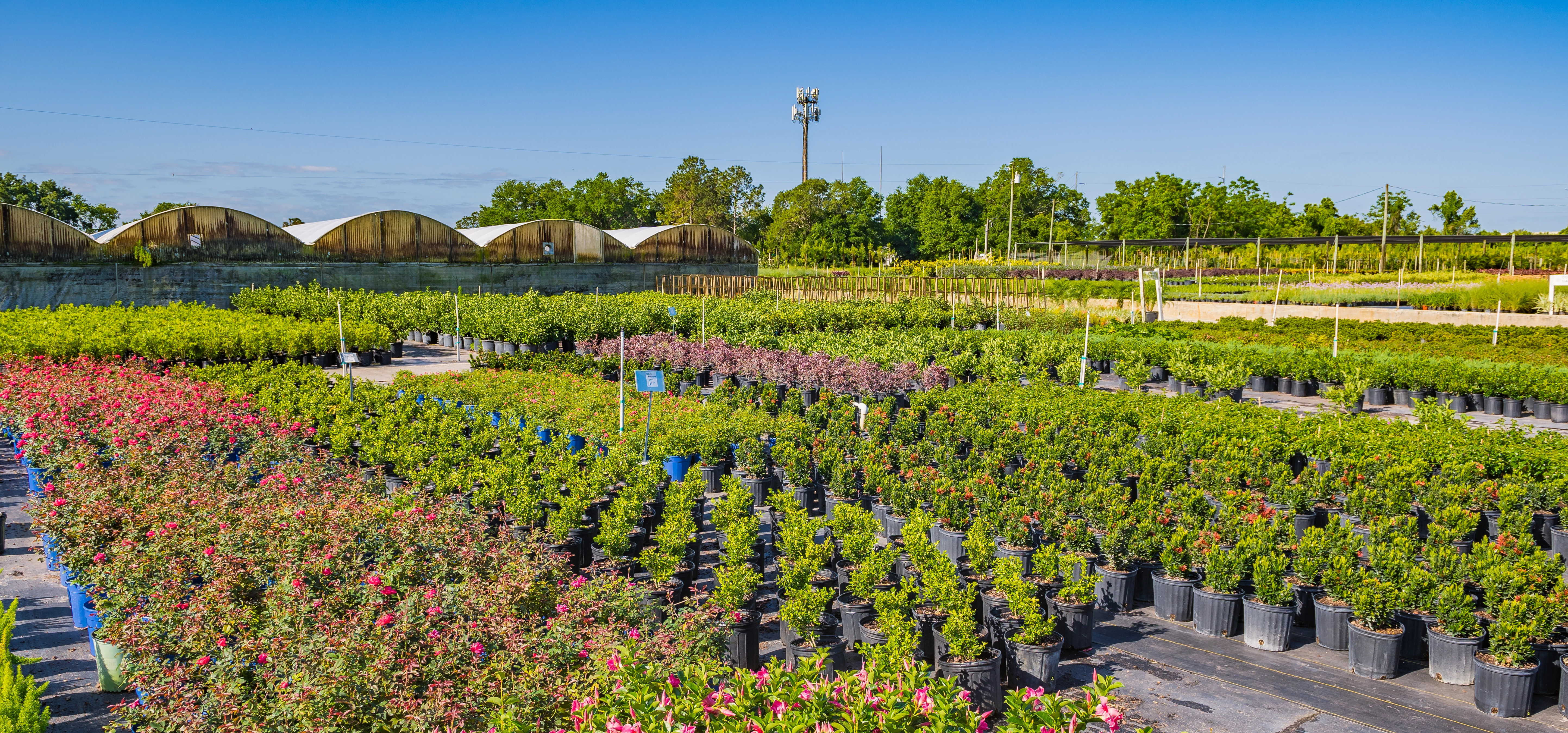 Custom paver patio hardscape installation near Apopka, FL.