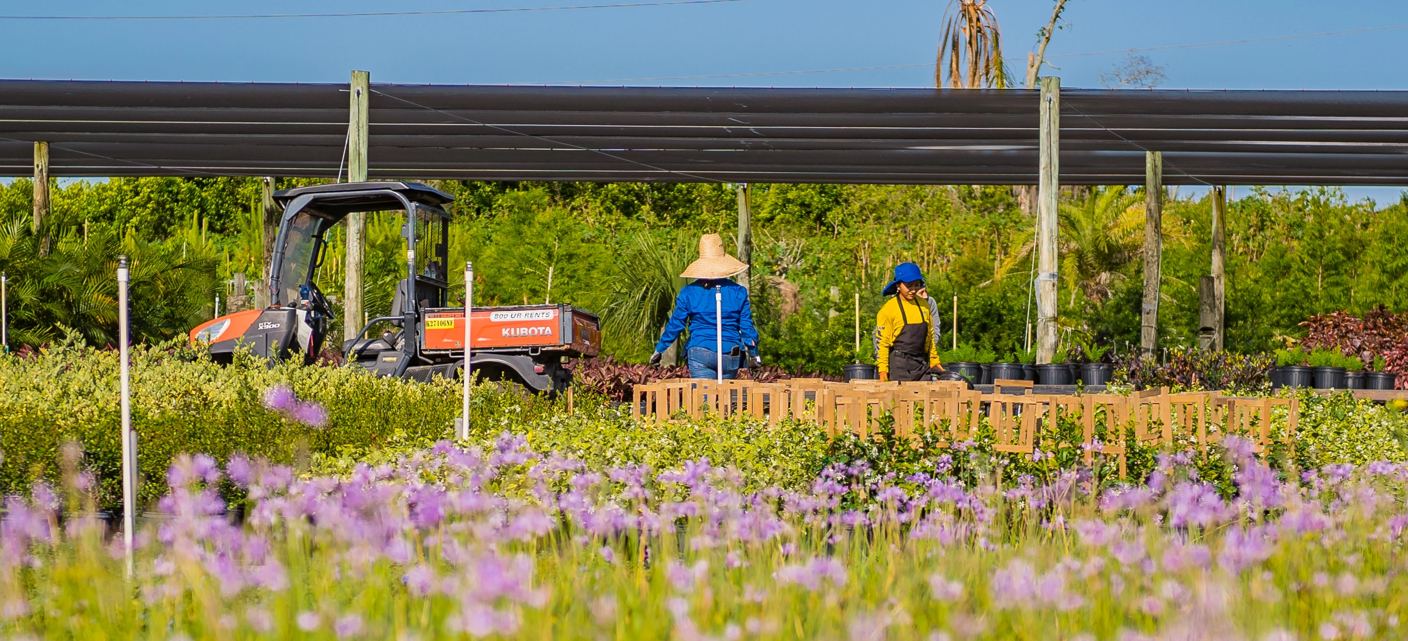 Landscaping at a commercial property in Clermont, FL.