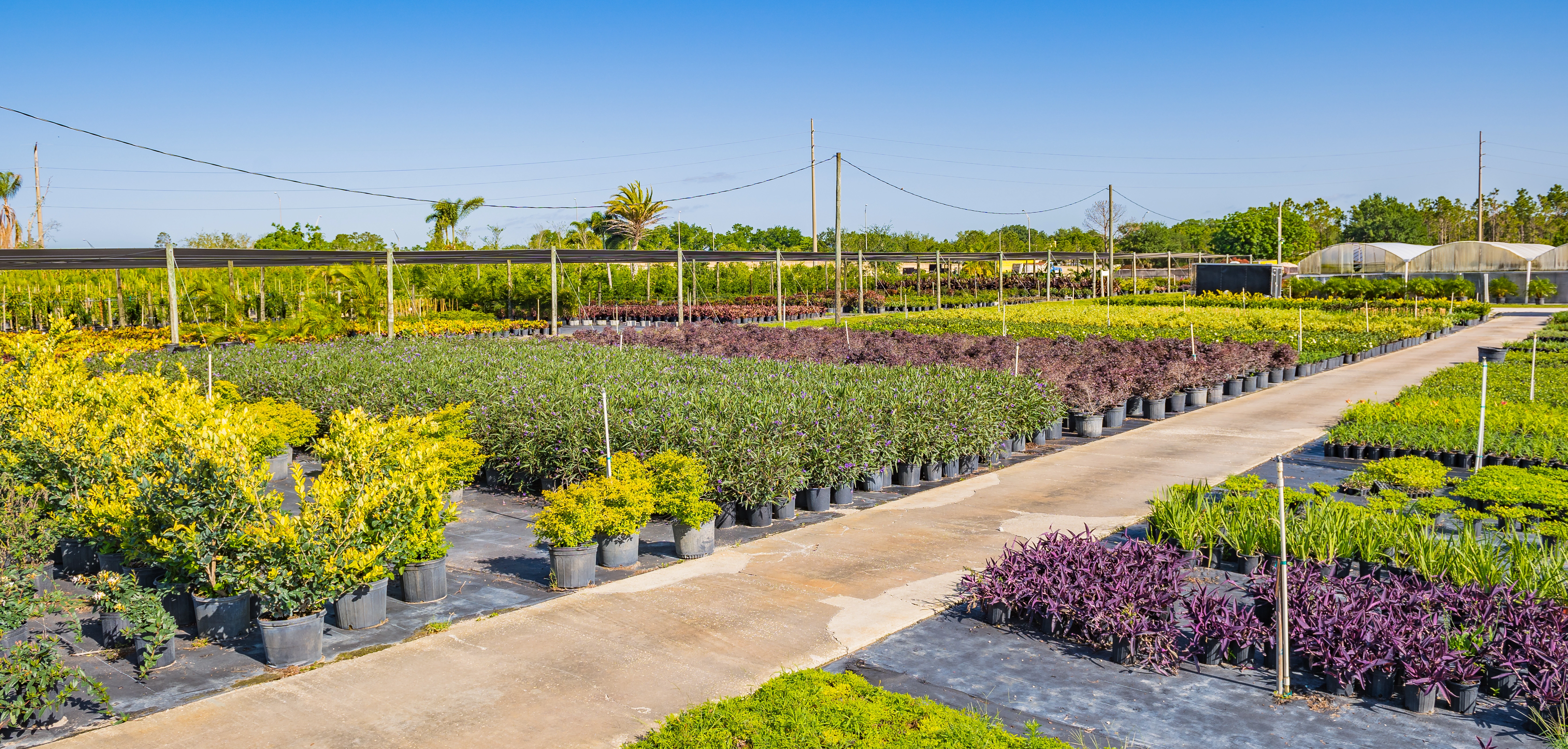 A custom paver patio for an Orlando, FL business.