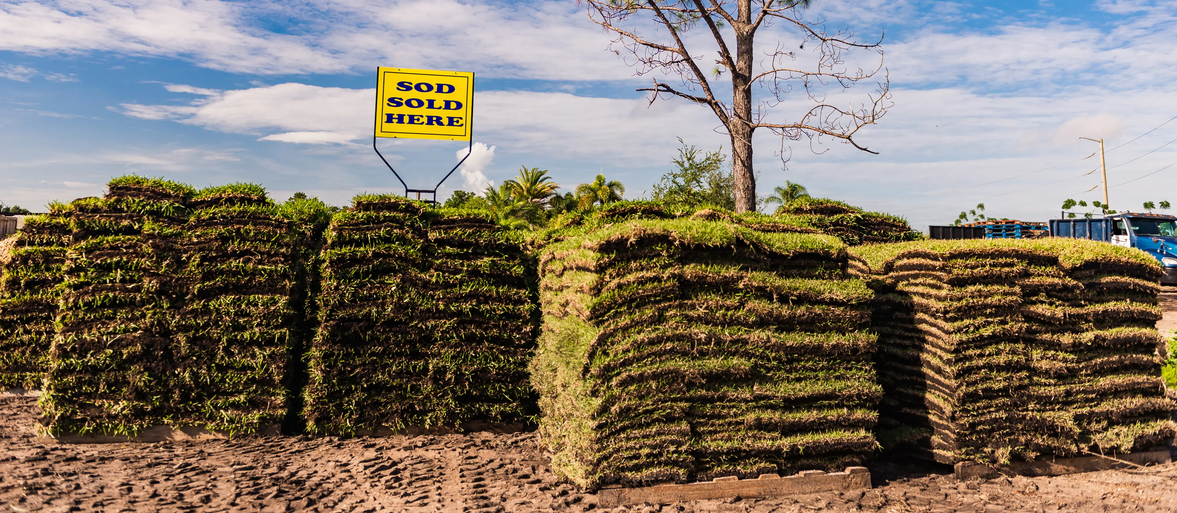A new roll of sod being laid by our team at a home in Orlando.
