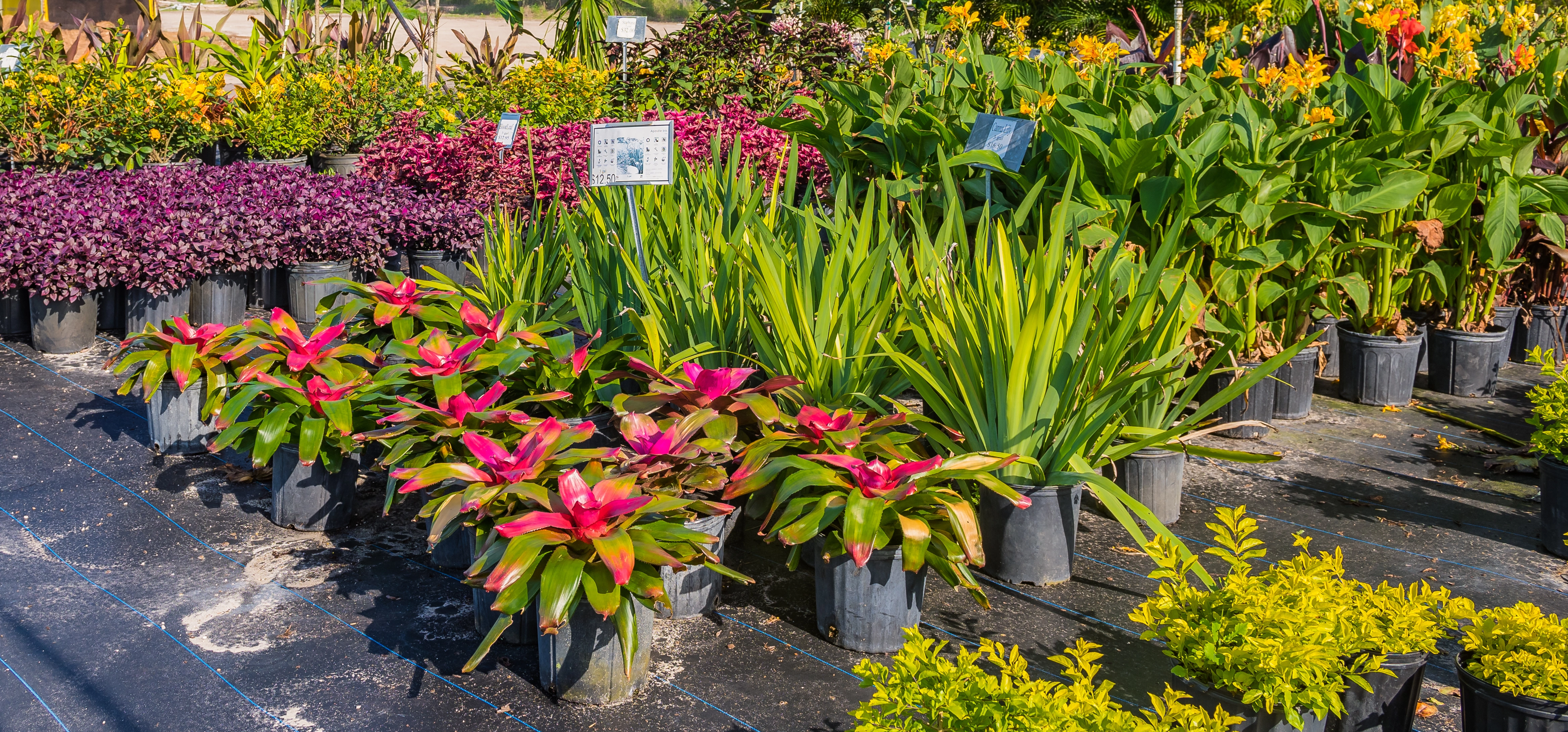 Custom paver patio in Windermere, FL.